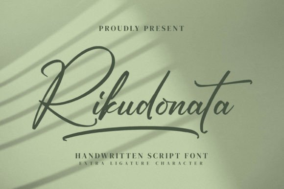 Elevate Your Brand with the Modern Script Font Rikudonata