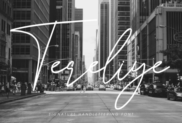 How Tereliye Font Makes Your Campaign Visuals Stand Out