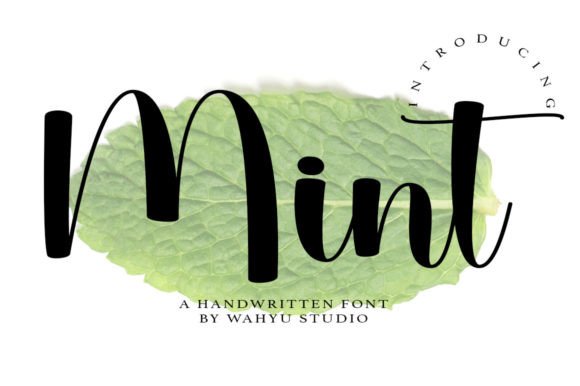 Mint: A Playful Script Font for Modern Digital Communication