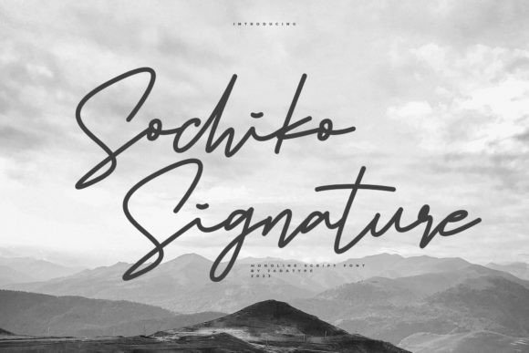 Sochiko Signature: A Font That Shapes Campaign Stories