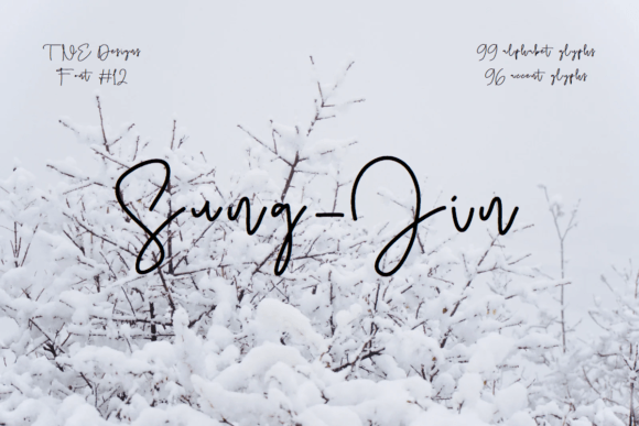 Sung-jin: The Signature Script Font That Makes Your Brand Feel Friendly