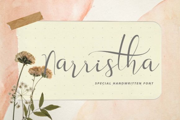 Why Narristha Became My Secret Weapon for a Beautiful Brand