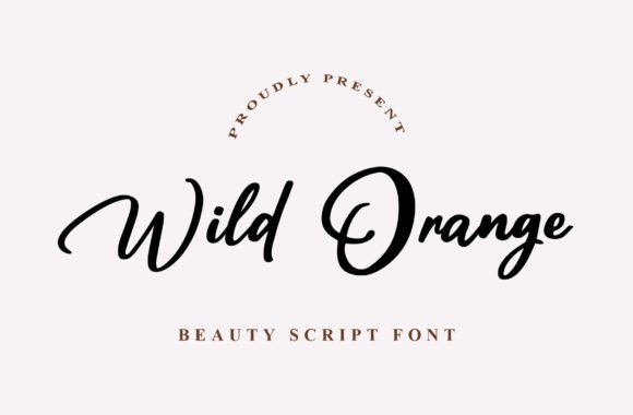 Wild Orange Font: An Exquisite Tool for Digital Design